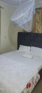 a bedroom with a bed with white sheets and a net at Avian suits in Kisumu