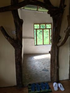 Fotografie z fotogalerie ubytování Migogo gorilla lodge v destinaci Rubuguli