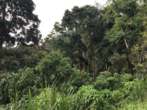 Příroda nedaleko hotelu