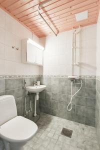 een badkamer met toilet en wastafel bij Dávidi talo 