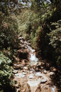 Φυσικό τοπίο κοντά σε αυτό το ξενοδοχείο