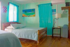 a bedroom with a bed and blue walls at Julia's Beachfront Guesthouse and Cabanas in Placencia Village