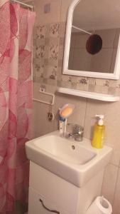 Ένα μπάνιο στο Casa taraneasca Marika