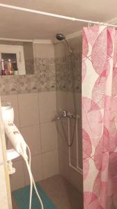 Ένα μπάνιο στο Casa taraneasca Marika