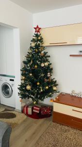 Φωτογραφία από το άλμπουμ του Boulevard apartament σε Sighetu Marmaţiei