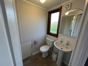ein Badezimmer mit Toilette, Waschbecken und Spiegel in der Unterkunft Athelington Lodge - Oak in Horham + 8 Fotos