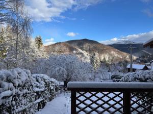 un patio cubierto de nieve con una valla y árboles en Iepurasul Sinaia, en Sinaia