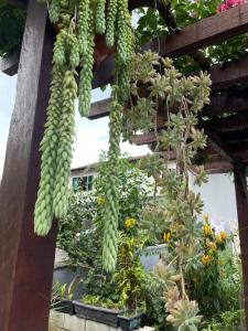 Φωτογραφία από το άλμπουμ του Seu refúgio em Joinville-Localização estratégica σε Joinville