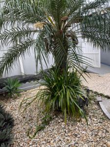 Φωτογραφία από το άλμπουμ του Seu refúgio em Joinville-Localização estratégica σε Joinville