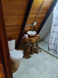 a bathroom with a toilet and a sink in a attic at Cabaña El Resguardo in La Capilla