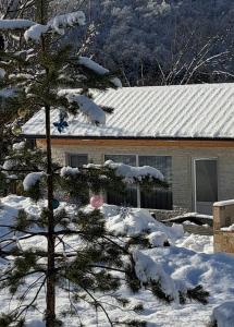 olya's garden v zimě