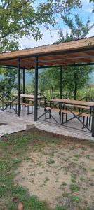 Φωτογραφία από το άλμπουμ του olya's garden σε Itʼkhvisi +19 φωτογραφίες