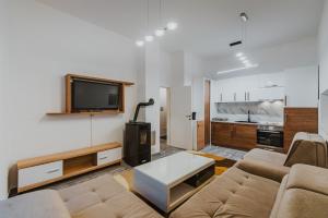 Et tv og/eller underholdning på Bjelašnica Alpine Apartments