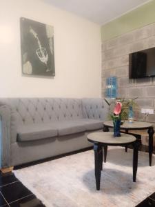 TV a/nebo společenská místnost v ubytování Sagana Croton Suites + 13 fotografií