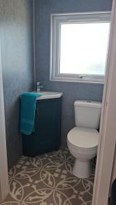 a bathroom with a white toilet and a window at Charming tree top cottage overlooking River Teifi in Cilgerran +25 photos