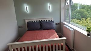 a small bedroom with a bed and a window at Charming tree top cottage overlooking River Teifi in Cilgerran