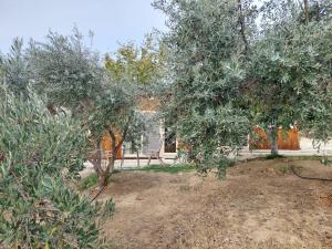 a yard with trees in front of a house at Pervolaris Cottages 1 in Goudhi