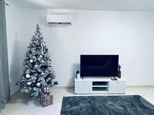 a living room with a christmas tree and a television at Honey Factory House in Santa Cruz
