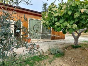 a house with a tree in front of it at Pervolaris Cottages 1 in Goudhi