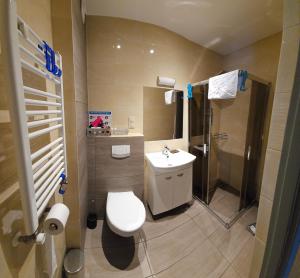 een badkamer met een toilet, een wastafel en een douche bij Szafirowy Zakątek in Karpacz +23 foto's