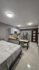 Η κουζίνα ή μικρή κουζίνα στο Ocean View Studio