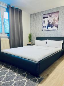 Ένα ή περισσότερα κρεβάτια σε δωμάτιο στο Handwerkswohnung Nova