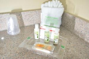 Фотография из галереи Holiday Inn Orlando East-UCF Area by IHG в Орландо