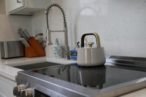 a tea kettle sitting on top of a kitchen sink at Charming Carriage House in NE Washington DC in Washington