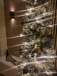 Φωτογραφία από το άλμπουμ του De Witte Gans σε Ootmarsum +26 φωτογραφίες