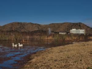 Naturlandskabet i nærheden af lejligheden + 28 billeder
