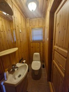un piccolo bagno con un water e un lavandino di Fjellvang a Haglebu