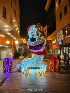 eine beleuchtete Hundestatue, die auf einem Bürgersteig steht. in der Unterkunft Bielsko City Center Apartment in Bielsko-Biała