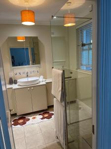 un bagno con lavandino, specchio e doccia di Airlie Well a Constantia