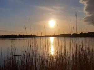 Příroda nedaleko prázdninového domu + 55 fotografií