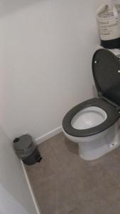 ein Badezimmer mit einer Toilette mit schwarzem Sitz und einem Mülleimer in der Unterkunft Le charles in Paris + 17 Fotos