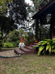 Κήπος έξω από το Encanto do Mar Praia do Rosa +55 φωτογραφίες