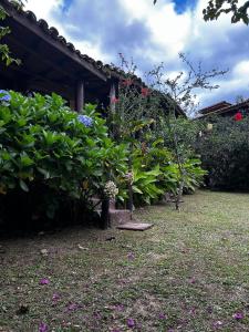 Κήπος έξω από το Encanto do Mar Praia do Rosa