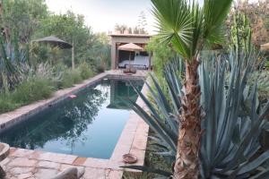 una piscina con una palmera al lado de una casa en Riad chama, en Taroudant