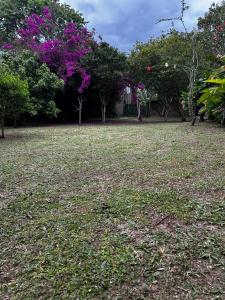 Κήπος έξω από το Encanto do Mar Praia do Rosa