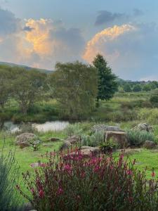 Природа в окрестностях дома для отпуска