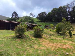 a group of trees in a field next to a building at Sitio alto valinhos in Itamonte
