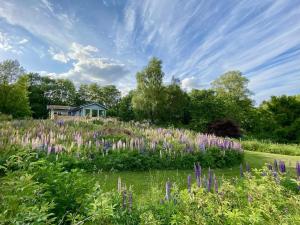 Κήπος έξω από το 4 star holiday home in BRÖSARP