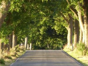 Φωτογραφία από το άλμπουμ του Holiday apartment with 2 bedrooms σε Rattelvitz