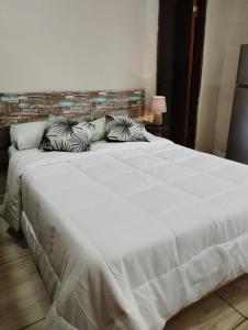 a large white bed with two pillows on it at Mi Hábitat Dormitorios con Sala Cocina Comedor y Quincho in Asuncion