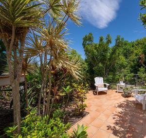 5 "Sempre" 28-34 Duke St Sunshine Beach في صن شاين بيتش: فناء به كرسي والنخيل