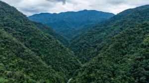 Příroda nedaleko kempu + 3 fotografie