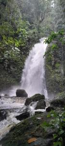 Příroda nedaleko kempu