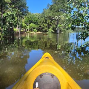 a view from the back of a yellow kayak on a river at Espacio Benignia in Puerto Libertad