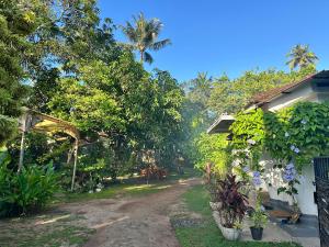 a view of the yard of a house at Solmate Collective Guesthouse - Madiha in Matara
