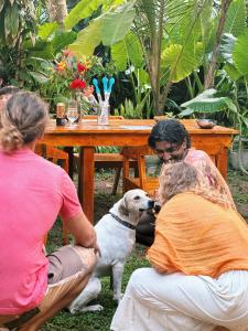 Domácí mazlíčci ubytovaní s hosty v ubytování Solmate Collective Hostel - Madiha